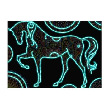5D Cavalo Luminosa DIY Diamante Pintura, Ponto Cruz Kit de Bordado da Imagem em Mosaico De Strass Decoração de Casa de imagens de artesanato de brinquedos 2