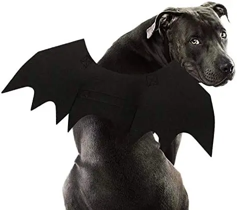Cão Bastão do Traje de Halloween Traje de Estimação de Asas de Morcego Cosplay Cão Traje animal de Estimação o Traje para Festa de L
